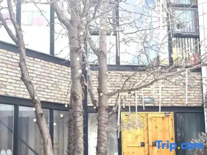 Walking Road Book Courtyard