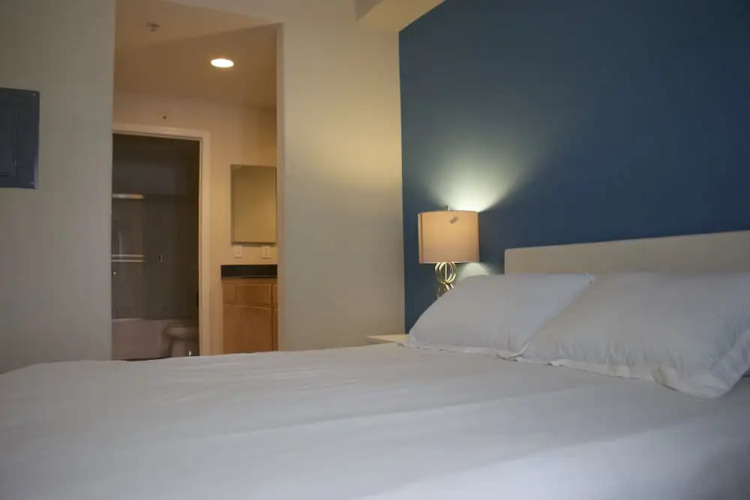 Junior Suite — Single Bed