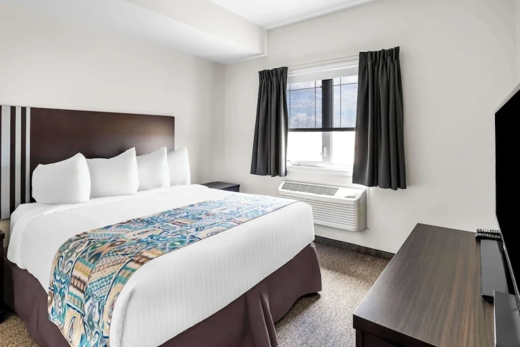 Executive Quadruple Basement Suite