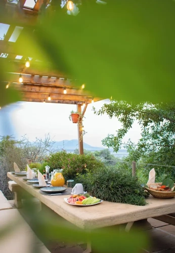 Luxury Villa