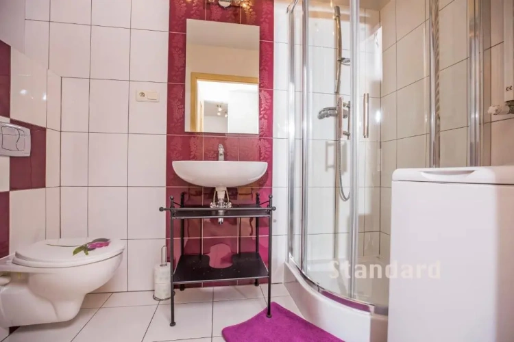 Standard Apartment with balcony