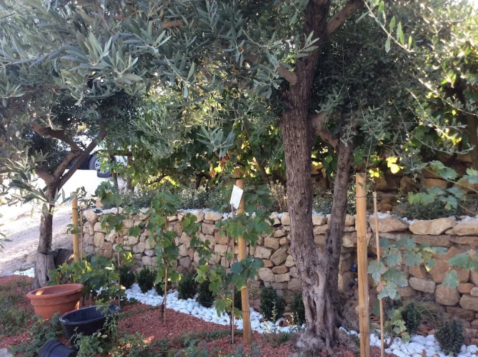 Chez Elles 2
