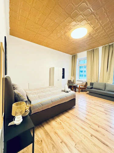 Comfy Studio Apt Near FAC Platz