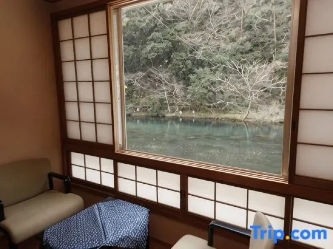 Standard room with river view
