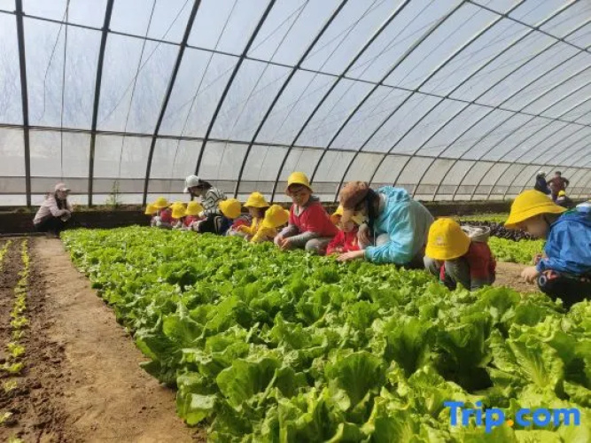 HiMaMa Parent-Child Farm