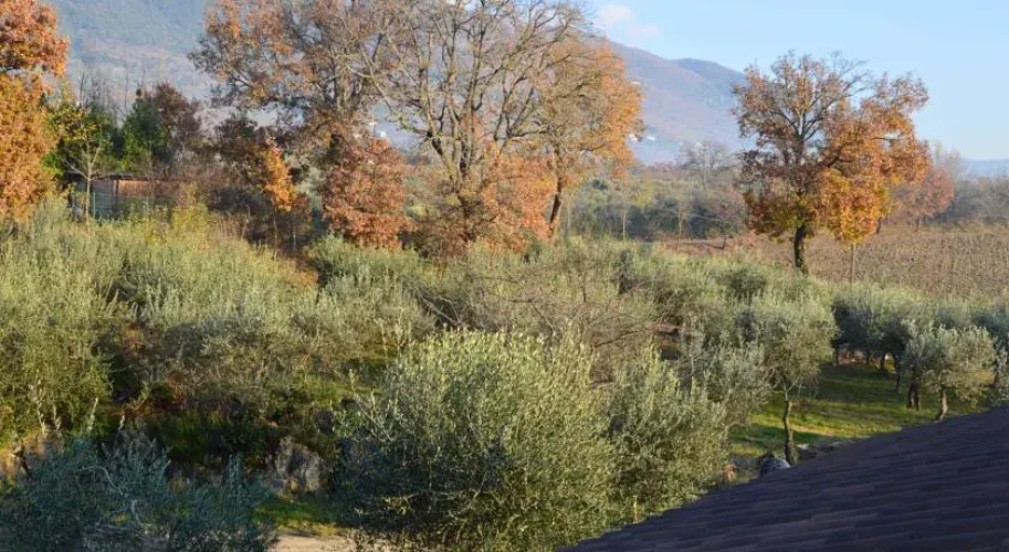 La Pietra Rosa