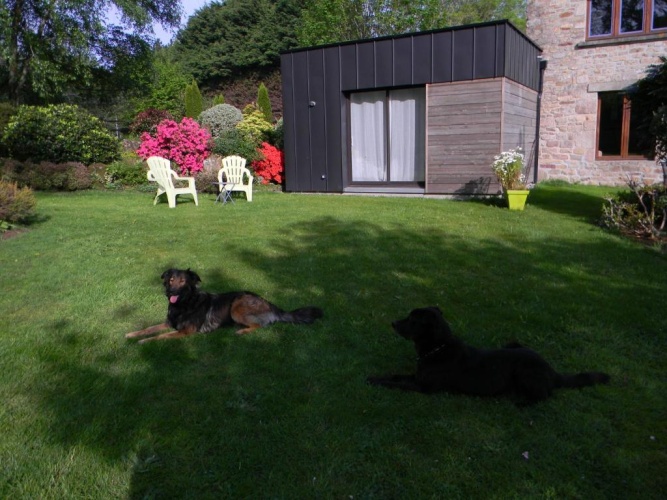 Standard Double room with garden view