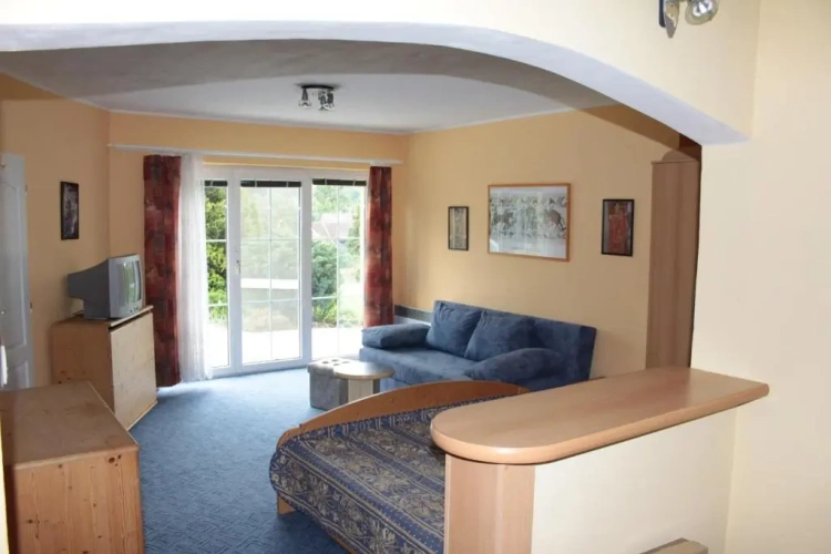 Standard Apartment with view