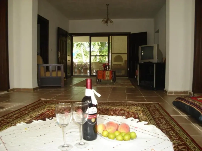 Superior Villa