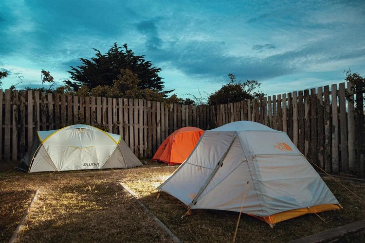Yellow Plum Tent House