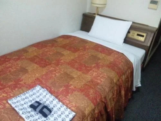 Kyowa Station Hotel