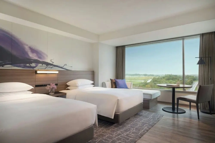 Superior Twin room with city view