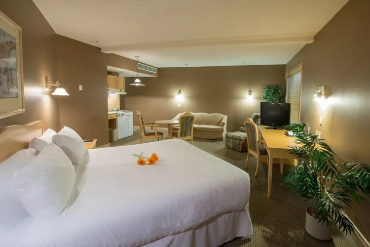 Executive Double room