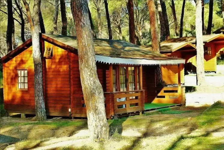 1 Bedroom Double Bungalow