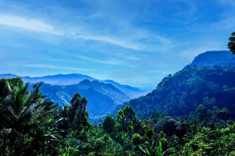 Standard Double room with mountain view
