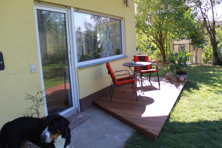 1 Bedroom Basement Apartment