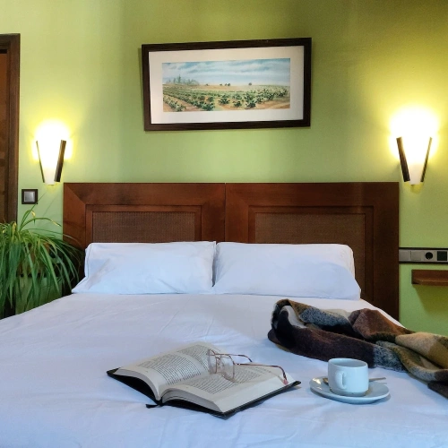 Superior Double room with view
