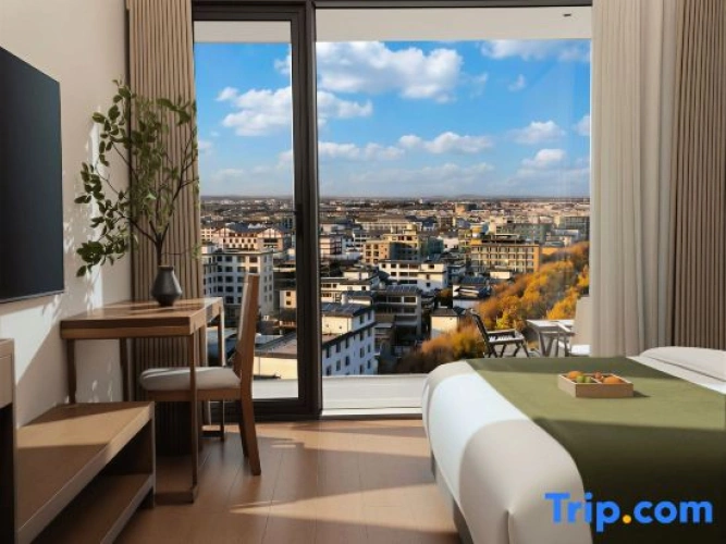 Standard Double room with city view