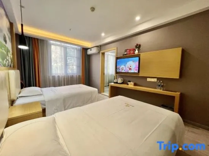 Twin Suite