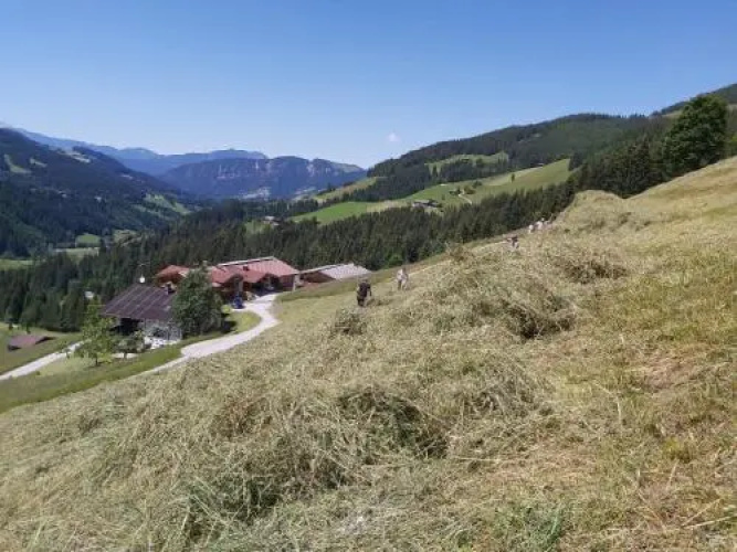 Prädastenhof