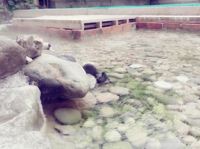 Horng Yi Hotel