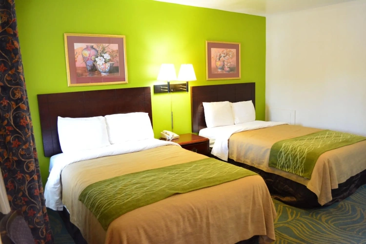 Guest rooms