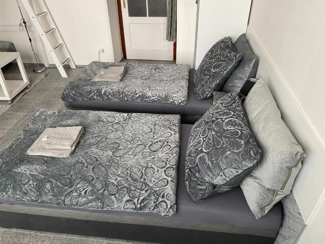 Tulip Apartment