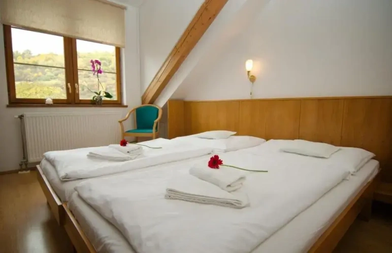 Standard Twin room with garden view