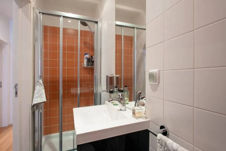 Deluxe city center flat