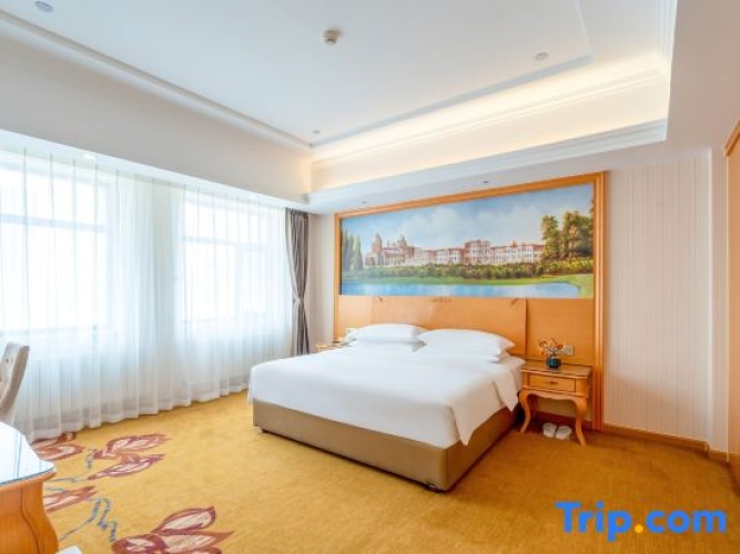Triple Family Suite