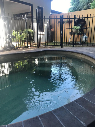 The Tropical Sanctuary