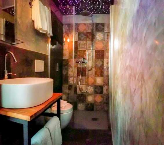 Basement Apartment