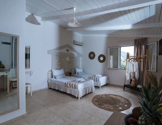 Standard Quadruple Studio with garden view