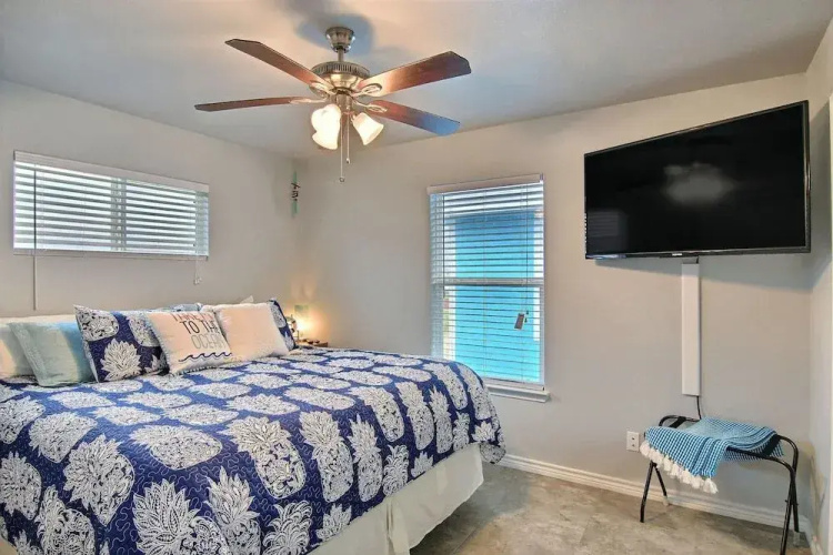 Blue Pineapple House
