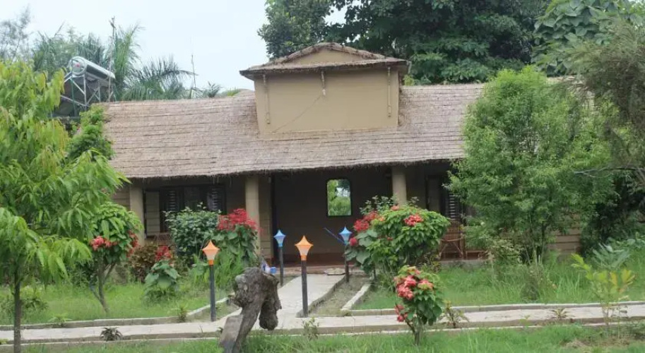 Jungle Resort