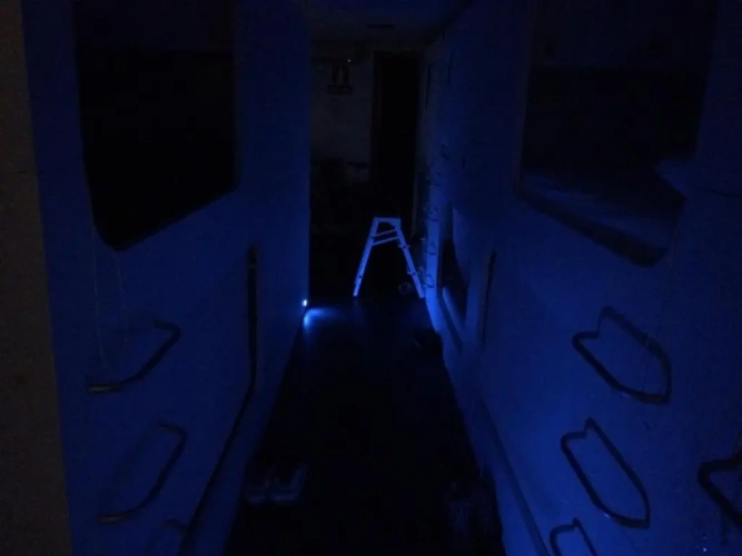 Bed in Dorm