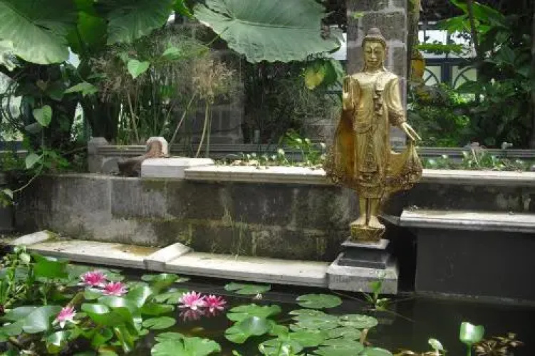 La Gallina Felice B&B
