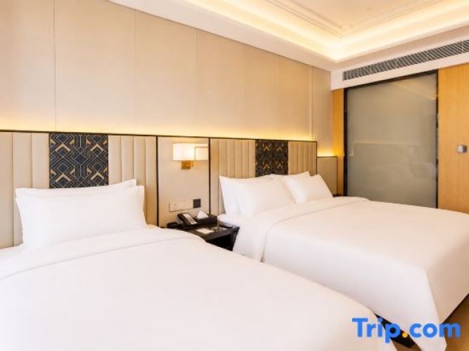 Deluxe Twin room with city view