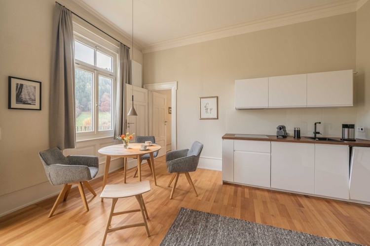 Apartment with balcony and with garden view