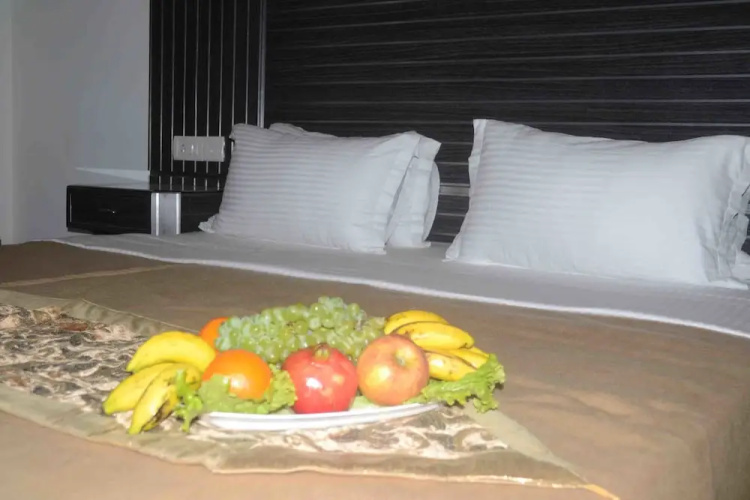 Hotel Svr