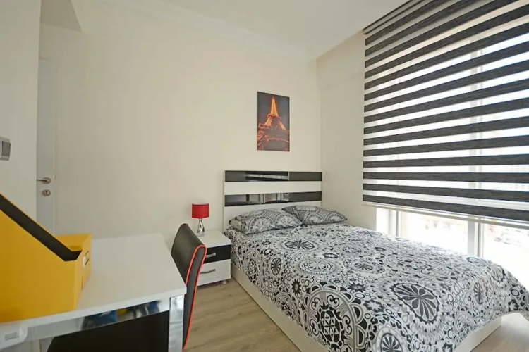 Eray Suite