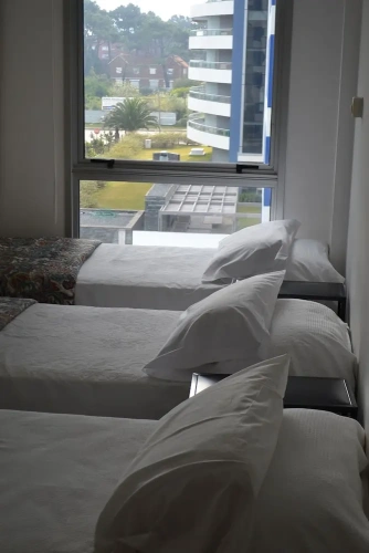 1 Bedroom Standard Apartment