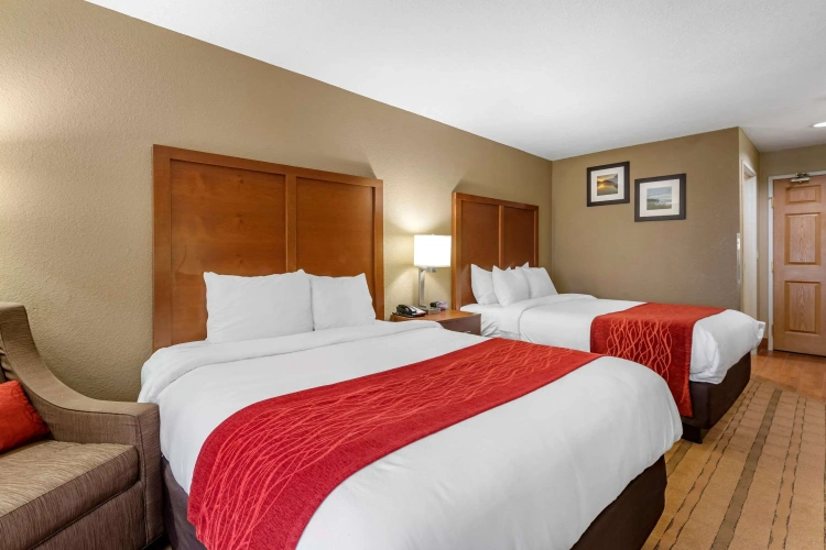 Standard Quadruple room