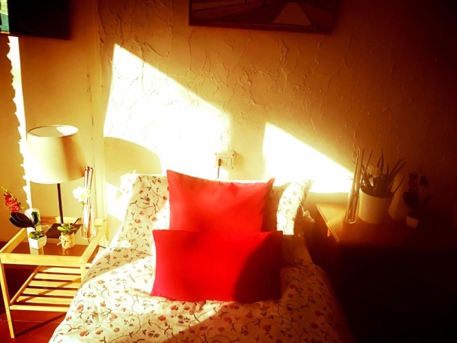 Standard Double room with garden view