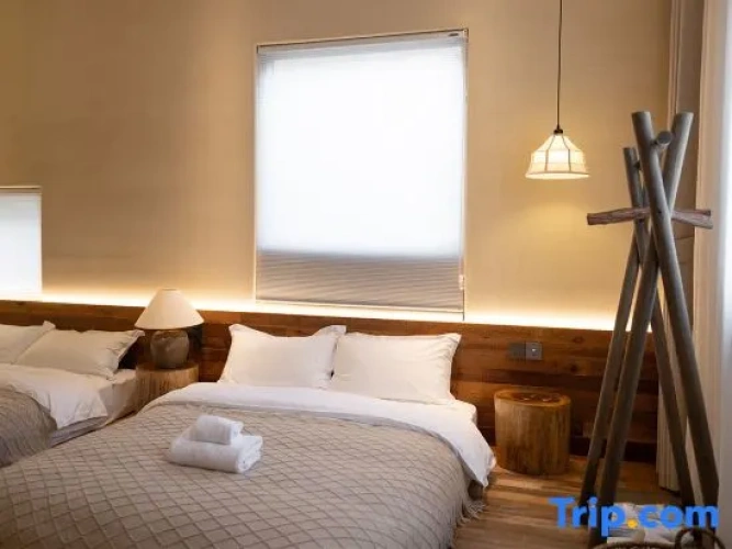 Standard Double room with mountain view