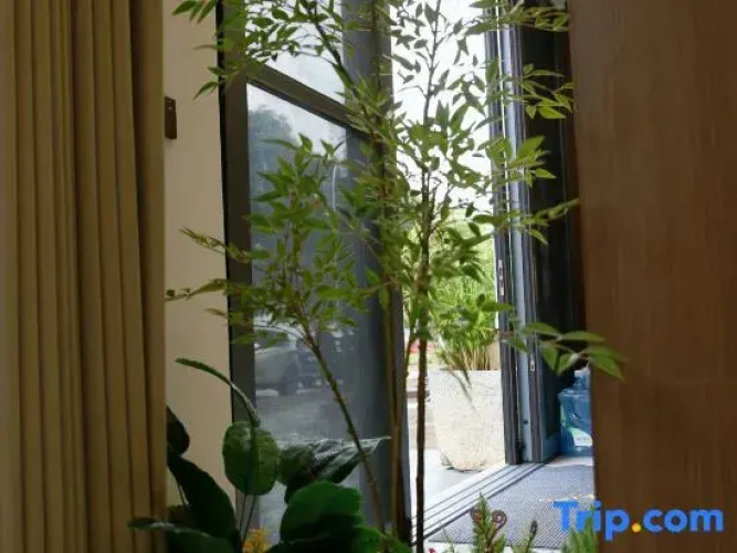 Wanfenglin Mingrong Homestay