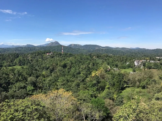 1 Bedroom Luxury Double room with mountain view