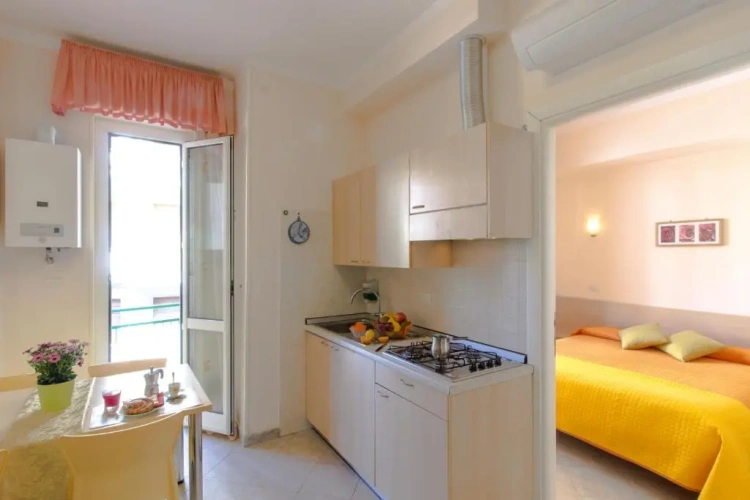 1 Bedroom Standard Apartment