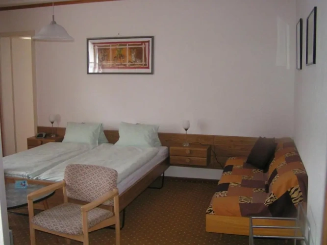 Standard Double room with balcony and with mountain view