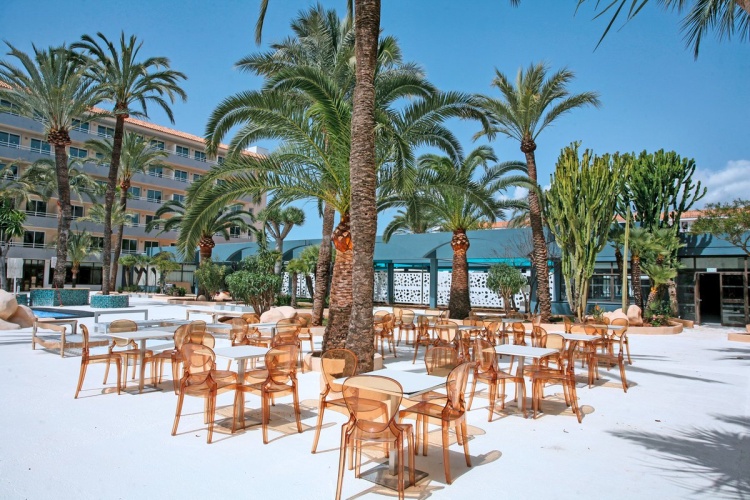 Tent Calvia Beach photo 14